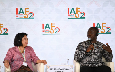 Panel Discussion Session IV of IAF II