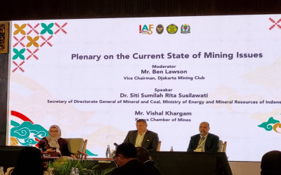 Indonesia, Africa Committed to Enhancing Value-Added Downstream Mining