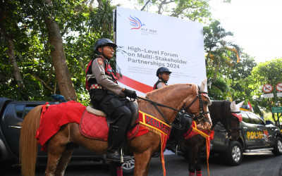 Security for HLF MSP and IAF in Bali