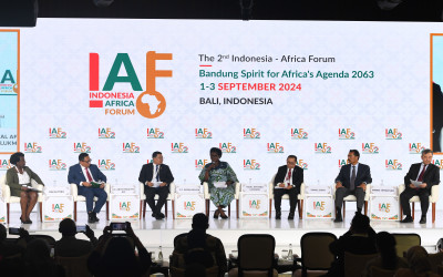 Panel Discussion VIII of IAF II