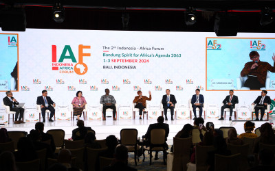 Panel Discussion IV of IAF II